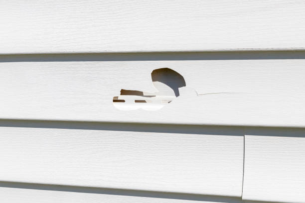 Best Custom Siding Design  in Passaic, NJ