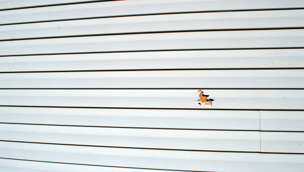Best Composite Siding  in Passaic, NJ