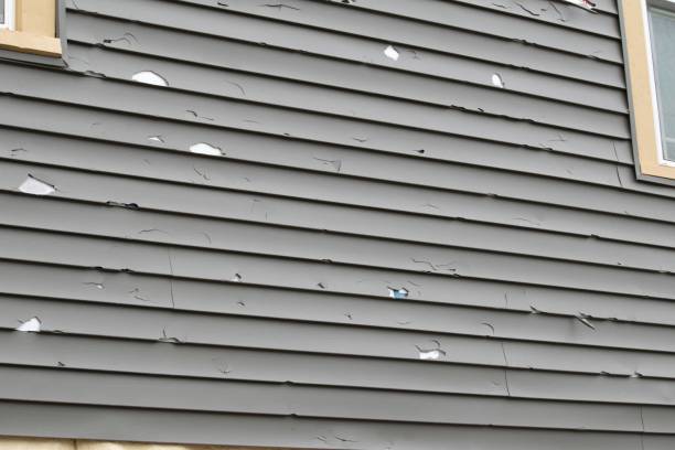 Best Stone Veneer Siding  in Passaic, NJ